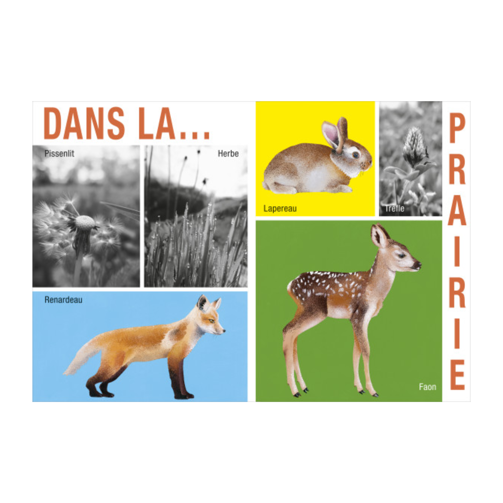 Mes saisons